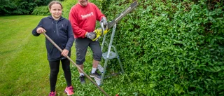 Elpriserna stiger – trots sommarvärmen: "Borde inte vara så högt"