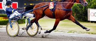 Starka favoriter på lunchtravet