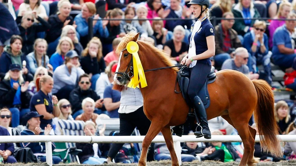 Elsa Teverud i Eskilstunaklubben Eidfaxi uttagen till VM. Här med Bida frà Rip som hon vann SM-guld med i 250 meter pass.