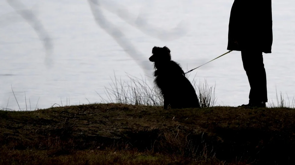 Hunden är människans bästa vän sägs det. Det var inte den här hunden, men väl en annan som såg till att en husse inte blev misshandlad i onsdags.