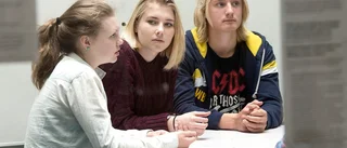 Rektor: "Feltänk av oppositionen – inget likhetstecken mellan resultat och modell"