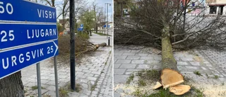 Kolmodin efter polisanmälan mot Trafikverket: "Det är tufft att gå till jobbet ibland"