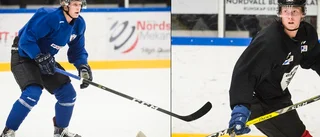 Haningespelare tränar med Gripen