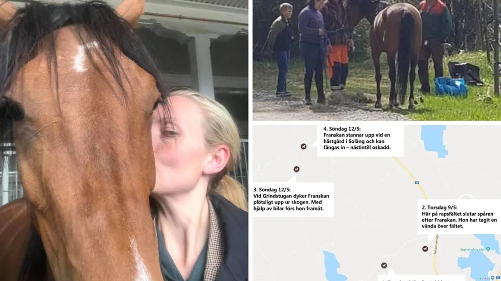 Helena Wass kunde på söndagen klappa om sin häst Franskan. Efter tre dagars sökande i skogarna i Sparreholm hittades hästen vid liv. Nu tackar ägarna alla som varit med i sökandet.