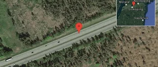 Fallna träd skapar problem i trafiken