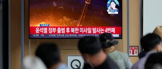 Nordkorea avfärdar nedrustningsidé