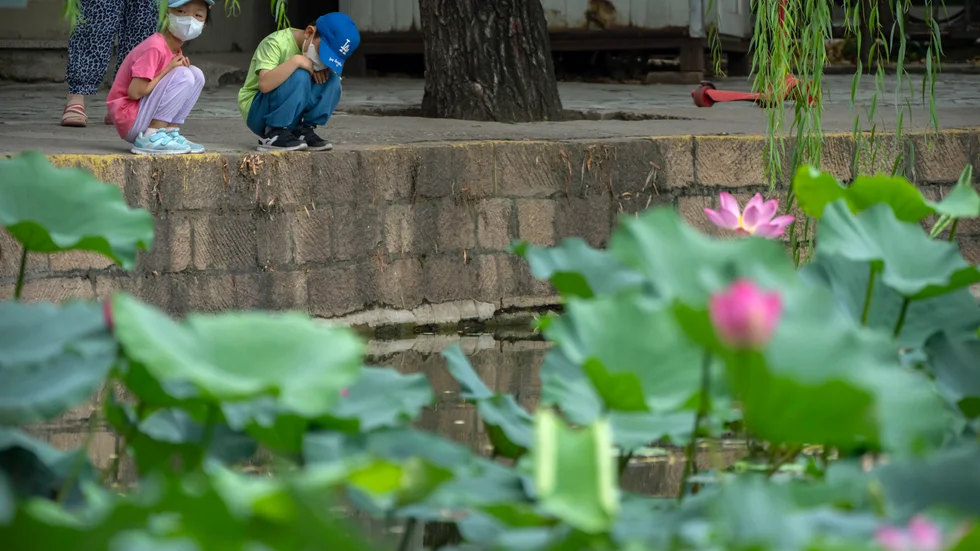 Barn tittar på lotusblommor i en damm i en park i Peking. Bilden är tagen i juli i år.