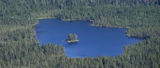 Vi behöver starka och motståndskraftiga skogar