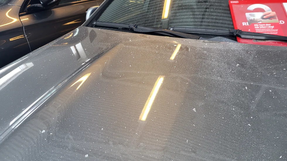 Minst åtta bilar fick glassplitter över sig, efter skottlossningen.