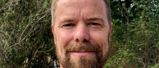 Experten: ”Det har inte blivit den publikboom som många trott”
