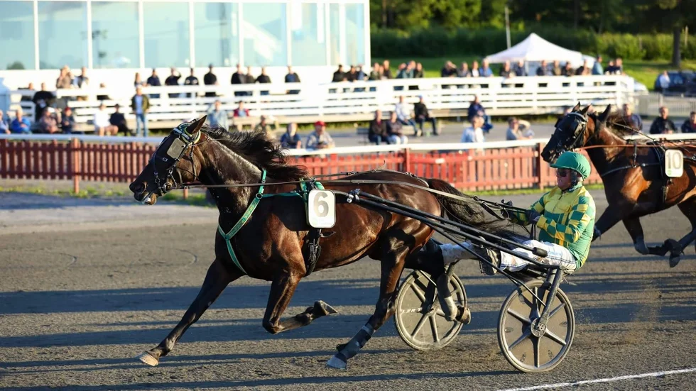 Nikita Sunrise (Roger Nilsson) lekte hem V64-4 från ledningen. 5-årsstoet har sprungit in drygt 200 000 kronor sedan mitten av juni.