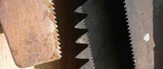Sågad växthuseffekt med tusenbröder