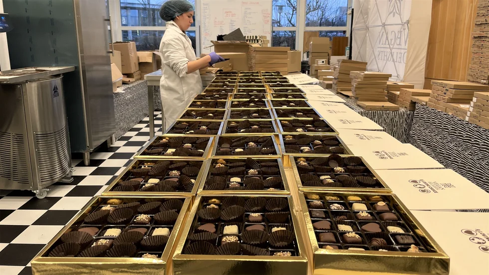 Choklad i långa rader i veganchokladfabriken.