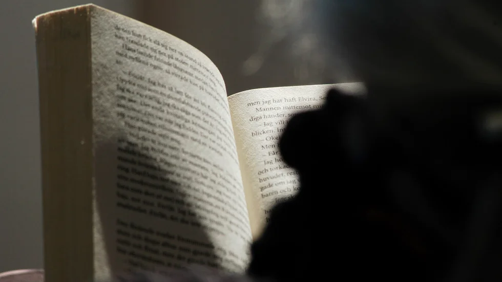 "Det tog inte lång tid innan naiva jag förstod vilken elitistisk sfär det var", skriver Evindar Akdogan om litteraturvärlden.