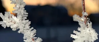 Läsarbilden: Frosten biter i kinderna