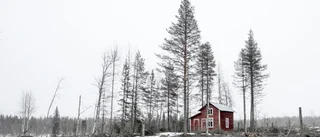 Bilden: Ett konserverat monument över vår tid