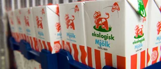 Välj den prisvärda ekomaten   