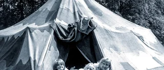 Kollo kittlar kidsen