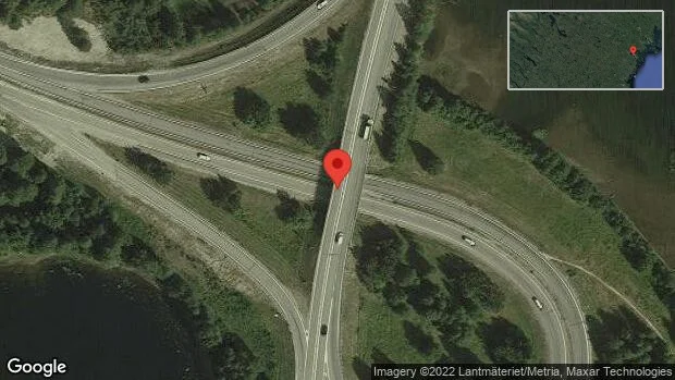 Älg på vägen på E4