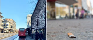 Undersökning visar: Här är det skräpigast i centrala Luleå 