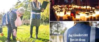 Ljus gest i allhelgona • "Känns jättefint att få göra det här"