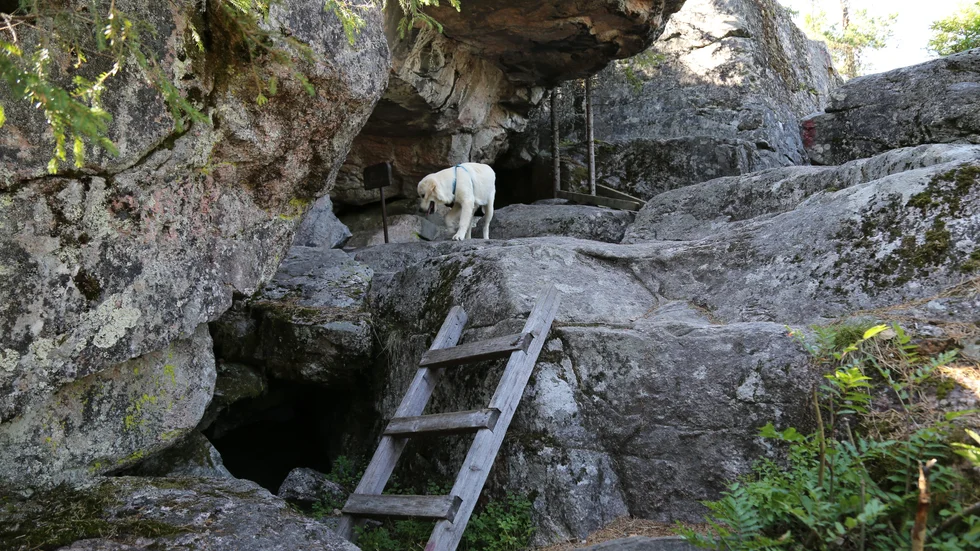 Stortjuven från Svensbyn, Elias Bäckman, som bodde i en grotta på Högberget i Svensbyn, ingår i de många berättelserna i Bo Rudolfssons bok.