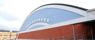 Stjärnglans över Hildursborg  
