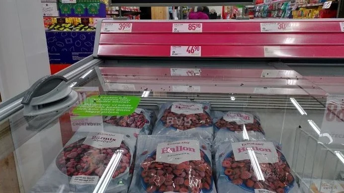 En fågel är kvar i Willys butikslokaler trots flera försök att få bort den från butiken.