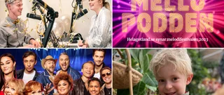 Premiär för mellopodden: ✓ 6-åringens analys ✓ ”Självklar finalist” ✓ Håkan Loobs favoritlåt ✓ Tippar deltävling 1
