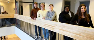 Platenelever blir EU-parlamentariker – för en dag: "Vi vill se om de har samma perspektiv som vi"