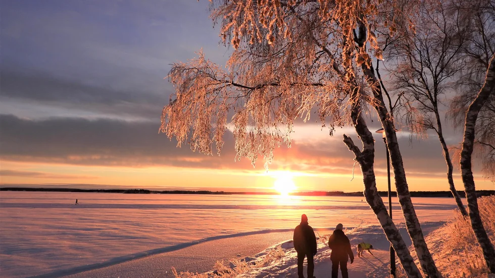 Lämnar du den sköna sänghalmen tidigt kan du vandra mot solen som stiger upp ur havet .
