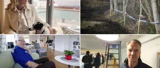 3 nyheter du inte vill missa • ✓ Hon hittade död ponny i hagen ✓ "Lidas" följer sonens framfart i Visby Roma ✓ De har flyttat tillbaka efter branden