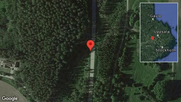 Fallna träd skapar problem i trafiken på väg 558