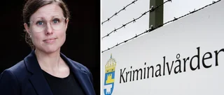 Kriminalvårdens expert: Därför sker sexualbrott