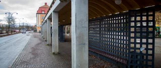 En folkomröstning om huset skulle inte göra någon nytta