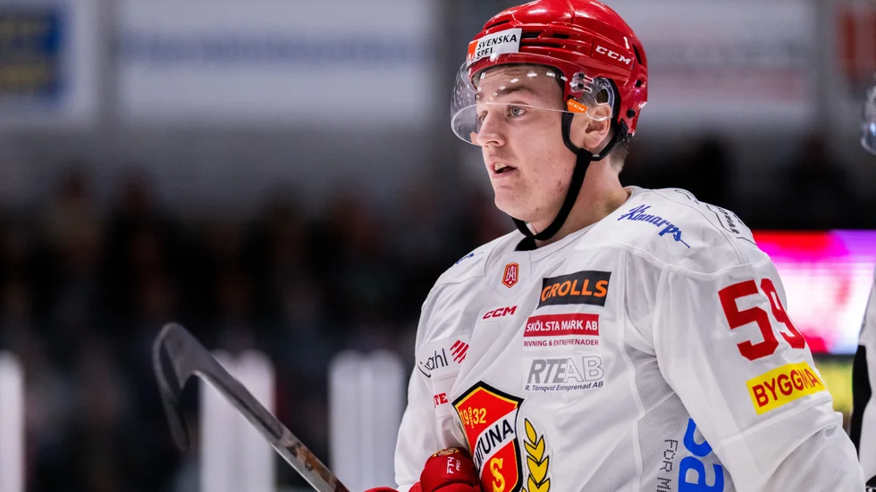 Pelle Hedlund