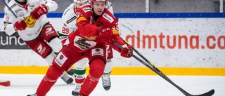 Almtunas guldklimp på väg att skriva historia