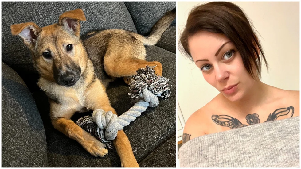 Exakt vilken ras Duno är vet inte matte Elisabeth eftersom hon är en så kallad "rescue dog" från Rumänien. Hon fyller snart sju månader.