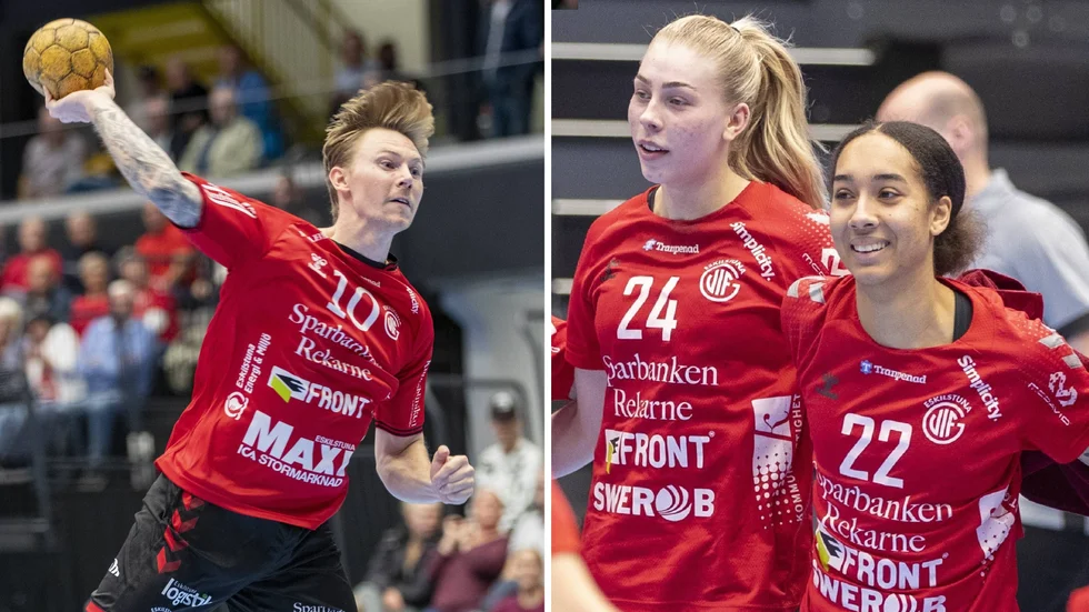 Elitverksamheten i Guif ska placeras i ett aktiebolag som ska ägas till minst 91 procent av föreningen.