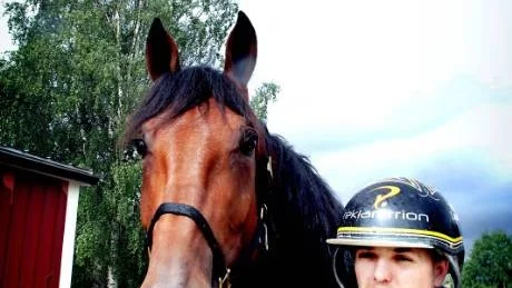 Inför V75 på lördag. tränaren som har stallet på bodentravet!