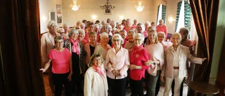 Damerna stöttar forskningen med eget pink party • ”Tänker på mina döttrar och barnbarnsbarn”