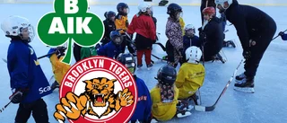 Bergnäsets AIK nära hockeysektion – därför vill Brooklyn Tigers ansluta
