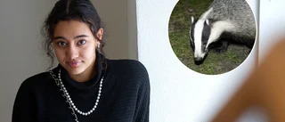 Älva, 16, slog larm – film med plågad grävling spreds bland unga