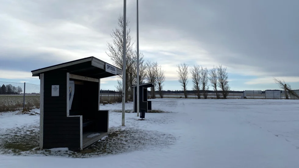 33 träd ska avverkas i allén vid fotbollsplanen.