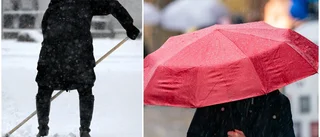 Prognosen: Regn fyra dagar i rad