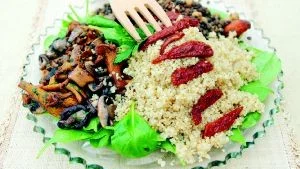 Bild 1:  Det här oansenliga lilla fröet kan bli början på ett nytt liv. Laddat med protein, mineraler och vitaminer. Lågt GI, låg kolesterolhalt och helt glutenfritt. Q som i quinoa.