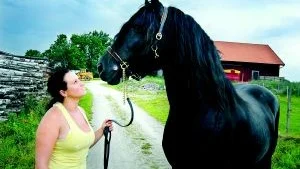 Kompanjoner. Sara Liew med hennes stolthet Lilleman.Foto: Elin Lundholm