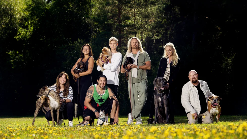 Sju kända svenskar tävlar med sina hundar i det nya underhållningsprogrammet "Underdogs" i SVT. Pressbild.