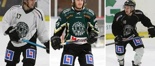 Fyra spelare lämnar ESK Hockey