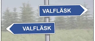 Valfläsk på räls